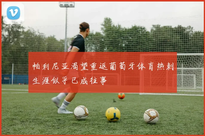 帕利尼亚渴望重返葡萄牙体育热刺生涯似乎已成往事